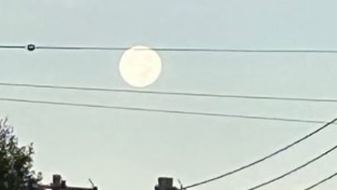 昨日、見逃したぁ