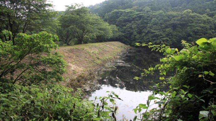 岡溜池