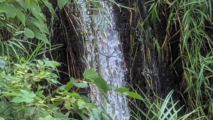 雷雨