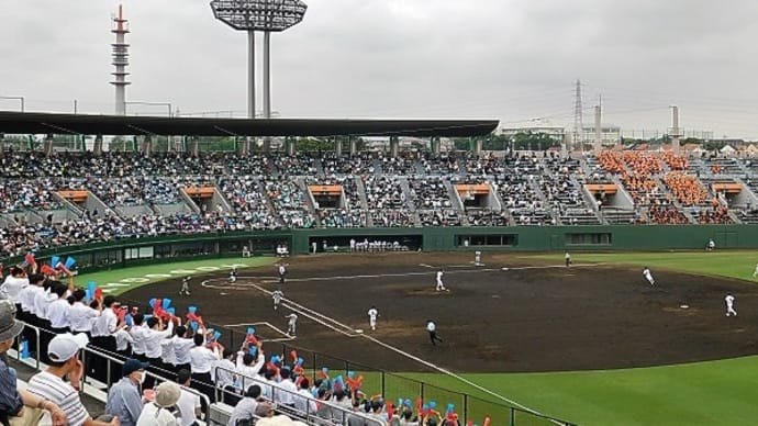 #8625 今日は保土ケ谷球場に!