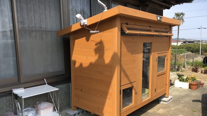 猫小屋の移設