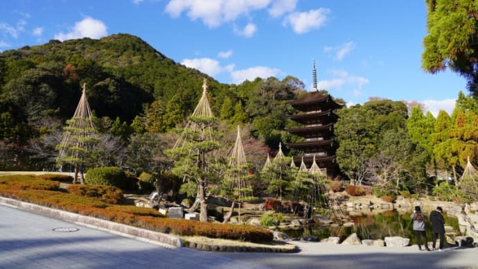 五重塔と雪吊り