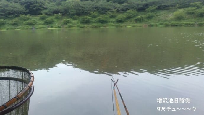2021/5/26 5/22 増沢池 日陰側