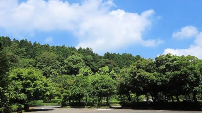 四王寺山(大城山 410m)
