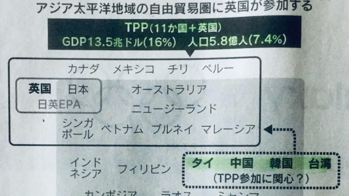 TPPを巡るオセロゲームのような米中