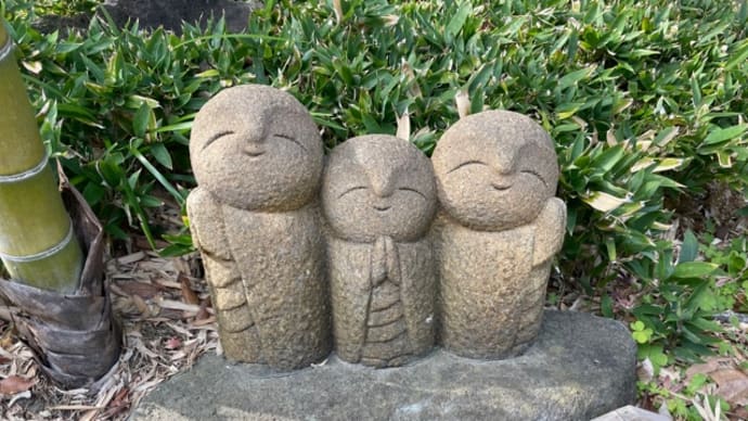 【鶴岡八幡宮と長谷寺へ】✨