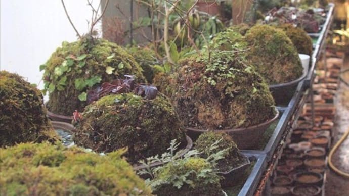 春を待つ小山飾り