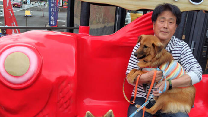 海鮮が てんこ盛りの ランチなの/春の伊豆旅行8 犬連れランチ