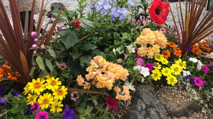 花壇、コナズ珈琲様