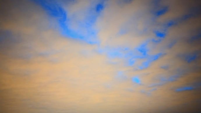 夜明け前 2024年7月13日♫