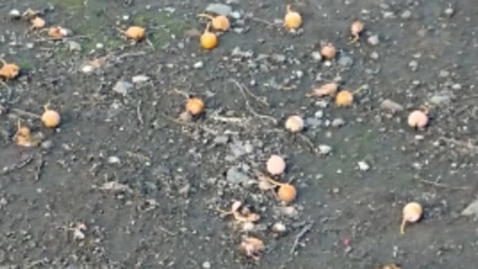 足いたいな。。