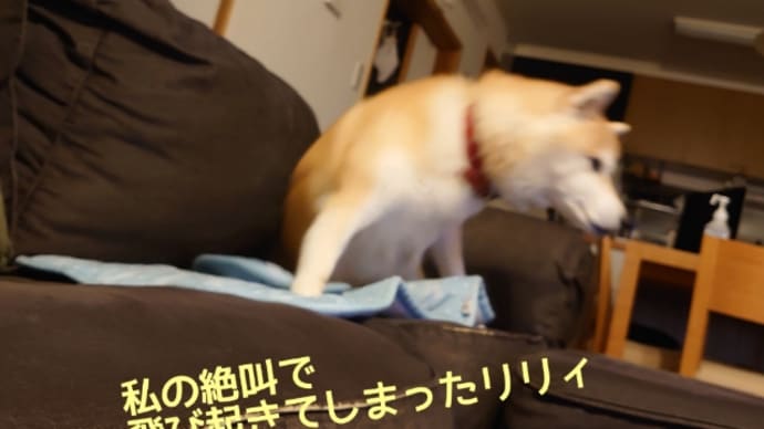 体調回復傾向