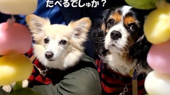 家内安全・無病息災~「大磯の左義長」🔥