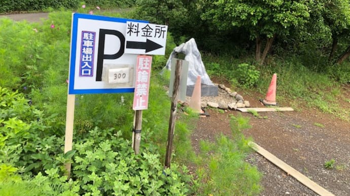 日和田山→物見山 はだし登山 アーシング