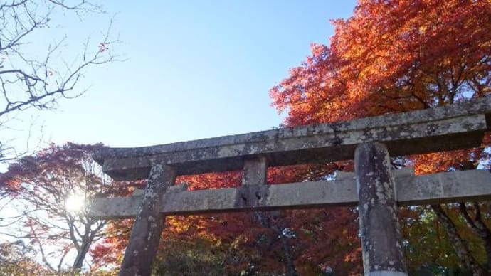 鳥見山公園