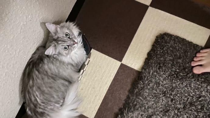 まあ、ありますよね