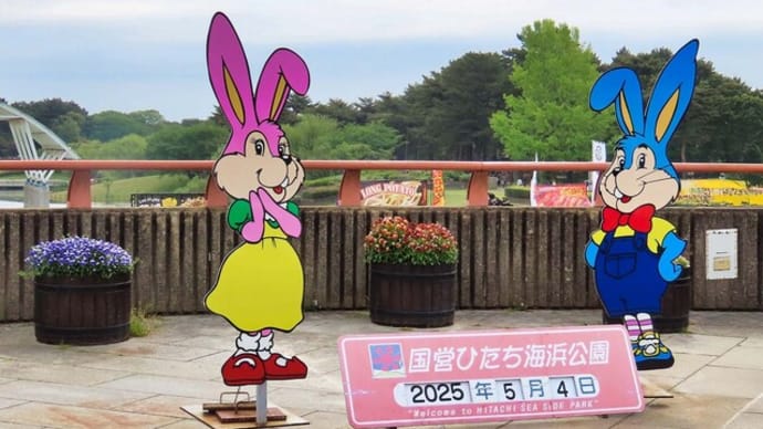 2025 国営ひたち海浜公園 ネモフィラの丘