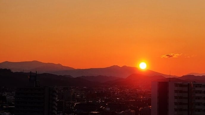 今日はこの一枚