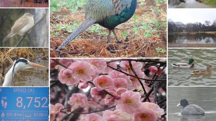 今日いち-2025年3月5日