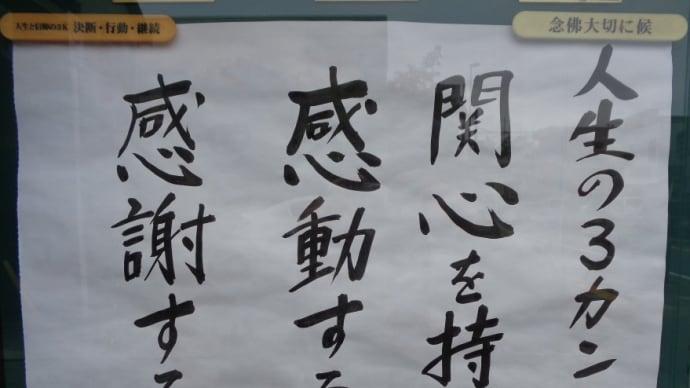 定期通院の道路沿いにある大運寺さん、穐葉神社さん、稲荷神社さん、老舗の旅館