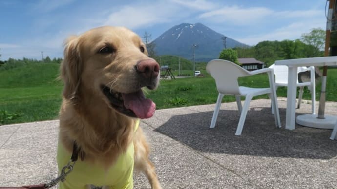 「ら」のお友達「フ」🎵