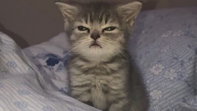 またまた