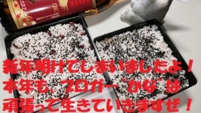 一年の計は元旦にあり♪