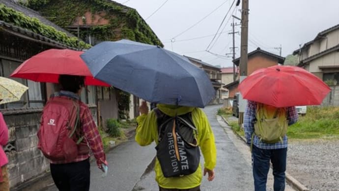 雨の散歩道♪