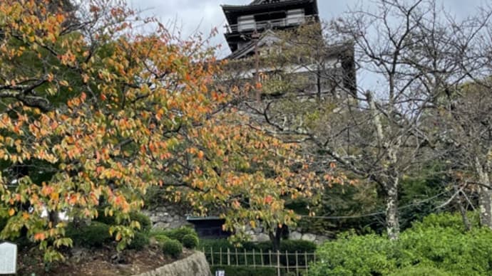 国宝丸岡城〜あわら温泉(グランディア芳泉)