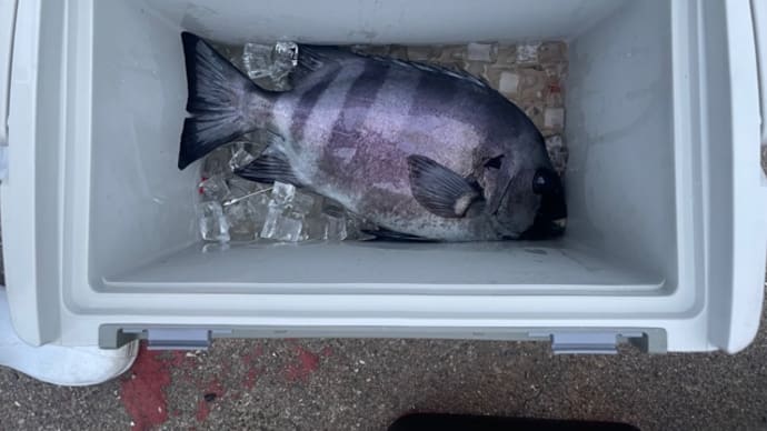 14日・釣果