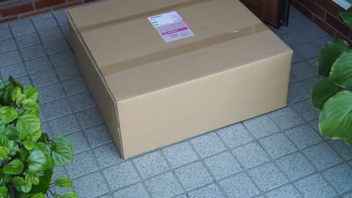 宅急便で届いたものは・・・(タイディトレイ)