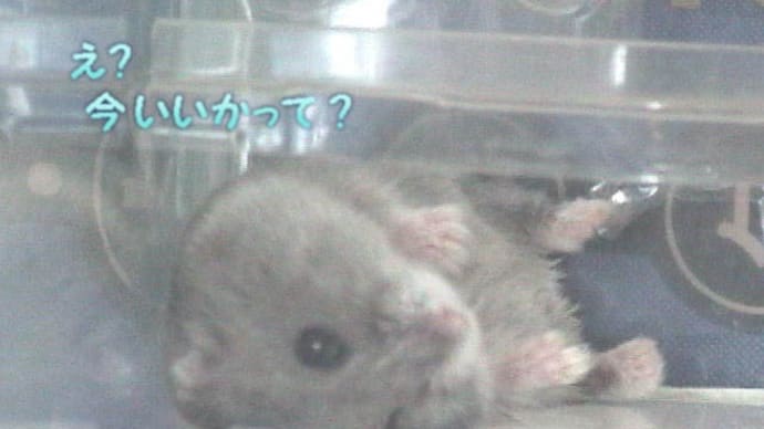 「こちらの都合も伺わず」って?