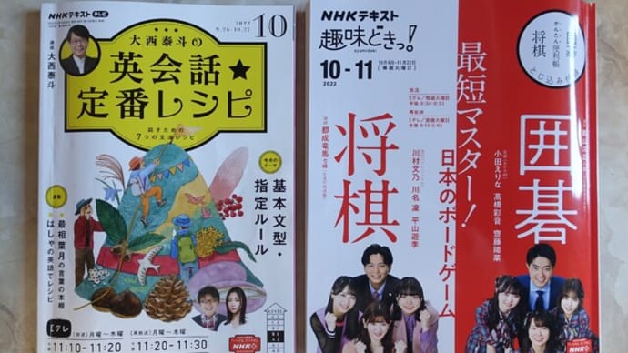 日本のボードゲーム囲碁将棋