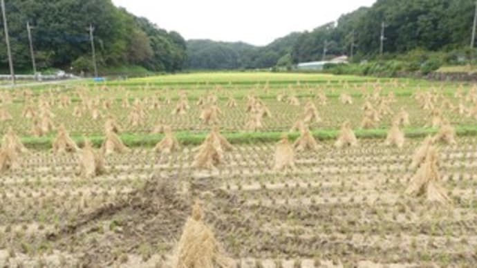 新型コロナウイルス徒然考2021(5) ~本題の前に伝えたい情報(4)~