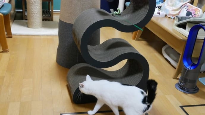 あたらしいお爪とぎはるんこたん