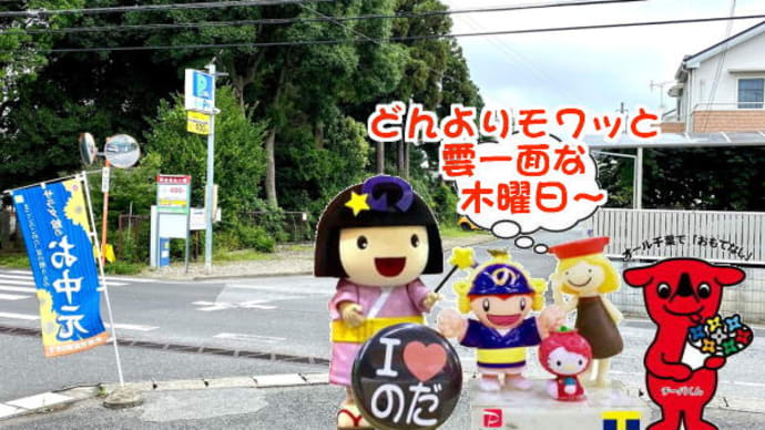 今日は、中元・・・なので、お家でカタログを!!