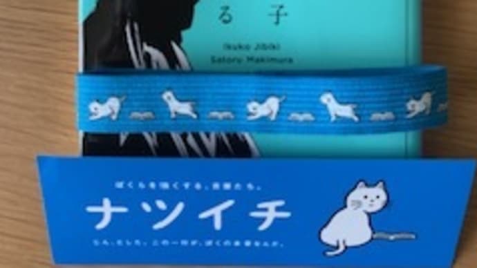 「ババア上等! 大人のオシャレ DO! & DON’T! (集英社文庫)」地曳いく子,槇村さとる2020-88