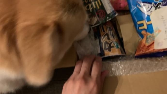 有効活用!