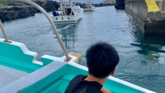 念願のドルフィンスイム🐬