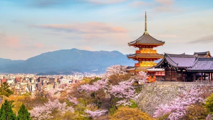 日本チームによるCOBRAインタビュー2025年5月