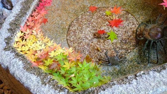 「花手水」/一条恵観山荘