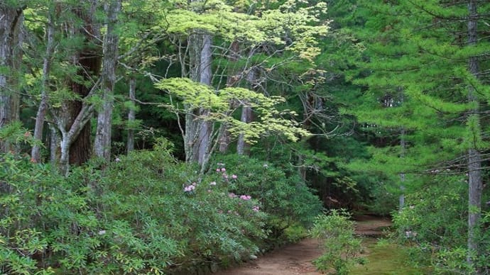 高野町