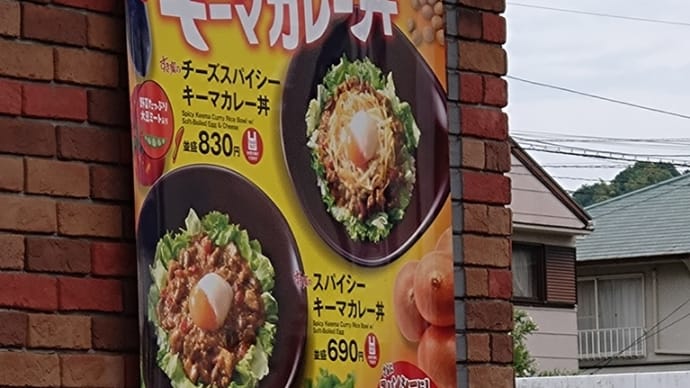 スパイシーキーマカレー丼