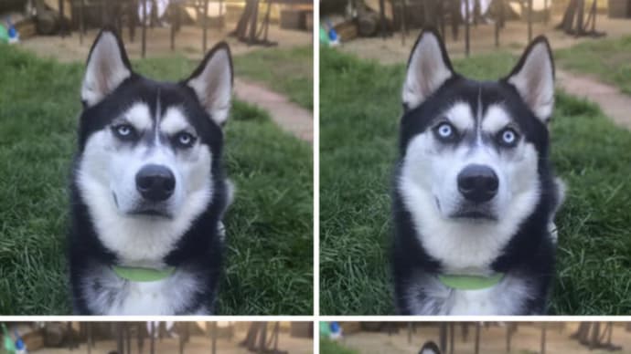 一枚の写真『4つの怒り!』