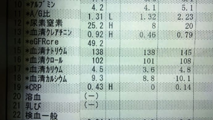 2023年05月11日 血液検査結果