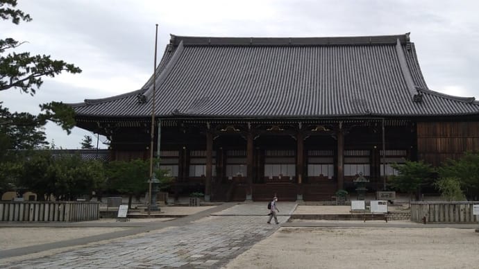 高田本山「専修寺」の蓮花、「穴虫の郷の蓮畑」再び…