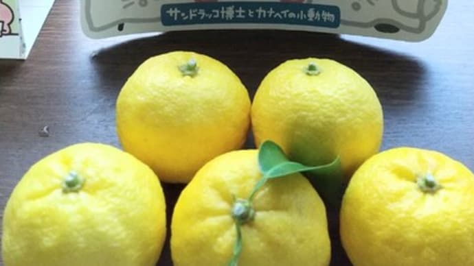 柚子豊作なのかな?