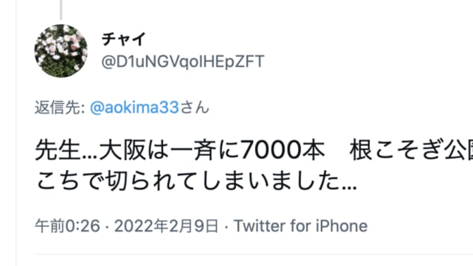 大阪維新の会について