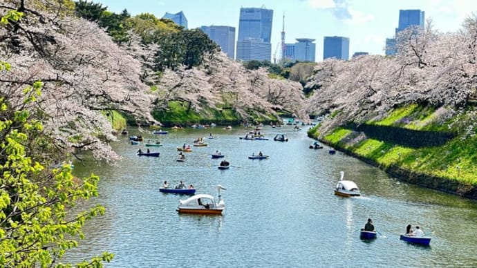 東京都千代田区　千鳥ヶ淵と靖国神社