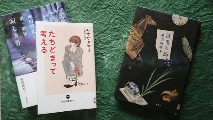 首里の馬🐴 / 高山羽根子 を読みました。